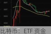 比特币：ETF 资金净流入 4.38 亿美元，投资者看好长期走势