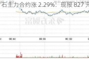 铁矿石主力合约涨 2.29%：现报 827 元/吨