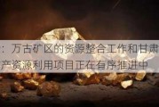 湖南黄金：万古矿区的***整合工作和甘肃加鑫以地南矿区矿产***利用项目正在有序推进中