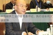 中国钢铁工业协会党委书记、执行会长何文波致辞