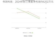 伟测科技：2024年前三季度净利润约6202万元