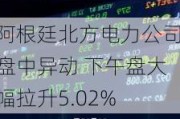 阿根廷北方电力公司盘中异动 下午盘大幅拉升5.02%