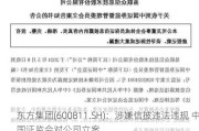 东方集团(600811.SH)：涉嫌信披违法违规 中国证监会对公司立案