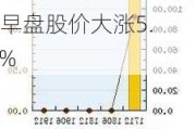 卡姆丹克太阳能盘中异动 早盘股价大涨5.84%