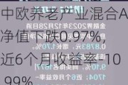 中欧养老产业混合A：净值下跌0.97%，近6个月收益率-10.99%