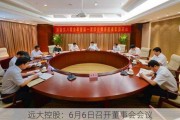 远大控股：6月6日召开董事会会议