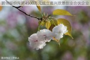 鹏翎股份斥资4500万元成立嘉兴欣景创业合伙企业