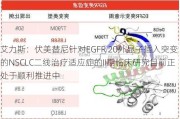 艾力斯：伏美替尼针对EGFR 20外显子插入突变的NSCLC二线治疗适应症的II期临床研究目前正处于顺利推进中