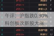 午评：沪指跌0.30% 科创板次新股大涨