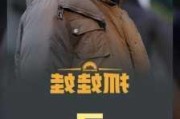 7 月票房：突破 50 亿！《抓娃娃》领衔