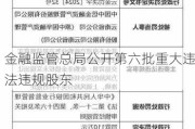 金融监管总局公开第六批重大违法违规股东