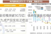 公募基金规模突破30万亿：债券型基金规模增长6.47%，超九成产品实现正收益