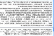 万隆光电:关于对外担保的进展公告