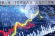 底部放量大涨！增量资金入场，北交所行情来了吗？