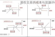 期权交易的成本与效益评估