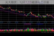 光大期货：12月12日能源化工日报