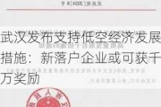 武汉发布支持低空经济发展措施：新落户企业或可获千万奖励