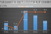 北汽蓝谷(600733.SH)子公司北汽新能源5月销量同比增长33%