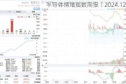 半导体情绪指数周报丨2024.12.6