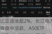 比亚迪涨超2%，长江电力等盘中活跃，A50ETF华宝（159596）飘红，机构：配置重心逐步转向绩优成长