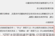 ST红太阳面临破产重整 公司需***取积极措施确保重整***顺利执行