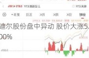 迪尔股份盘中异动 股价大涨5.00%