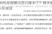 年产5000吨草铵膦项目归属未了？辉丰股份与失控子公司纠纷继续