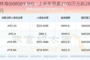 德林海(688069.SH)：上半年预盈2100万元到2800万元