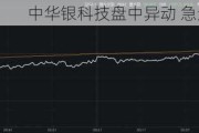 中华银科技盘中异动 急速跳水8.33%