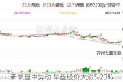 新氧盘中异动 早盘股价大涨5.23%