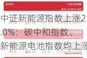 中证新能源指数上涨2.0%：碳中和指数、新能源电池指数均上涨