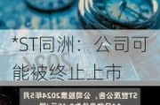 *ST同洲：公司可能被终止上市