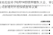 绿地控股将于6月14日召开股东大会，审议公司新增对外担保额度等议案