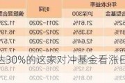 年化收益率达30%的这家对冲基金看涨日本云会计软件行业