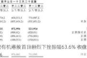 武汉有机港股首日剧烈下挫振幅63.6% 收盘涨27.6%