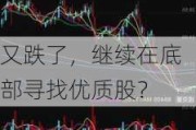 又跌了，继续在底部寻找优质股？