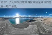 龙净环保：子公司拟投建西藏拉果错盐湖源网荷储示范项目一期二阶段