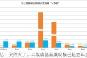 780亿！突然火了，二级债基新发规模已超去年全年！