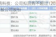 朗鸿科技：公司拟回购不超过120.00万股公司股份