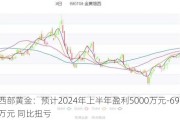 西部黄金：预计2024年上半年盈利5000万元-6900万元 同比扭亏