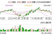 兴瑞科技：2024年第二季度“兴瑞转债”转股305股