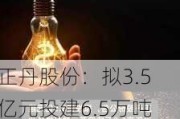 正丹股份：拟3.5亿元投建6.5万吨偏苯三酸酐升级改造项目 解决产能不足问题