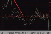 MKS仪器盘中异动 下午盘急速上涨5.00%