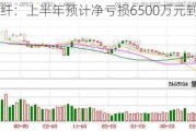 南京化纤：上半年预计净亏损6500万元到7500万元