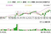 立方数科：控股股东所持3200万股股份被轮候冻结