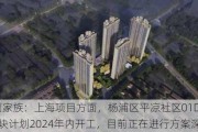 华丽家族：上海项目方面，杨浦区平凉社区01D4-04地块***2024年内开工，目前正在进行方案深化