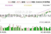 沃尔弗林集团盘中异动 下午盘快速下挫5.01%报16.29美元