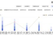 佳明盘中异动 股价大跌5.06%报162.09美元