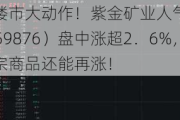 一线三城楼市大动作！紫金矿业人气飙升，有色龙头ETF（159876）盘中涨超2．6%，瑞银预测大宗商品还能再涨！