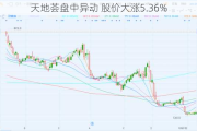 天地荟盘中异动 股价大涨5.36%